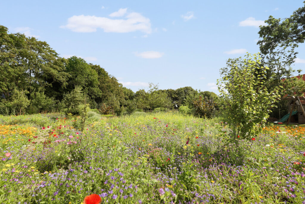 Balk, Lubertus van Beekstrjitte ong.